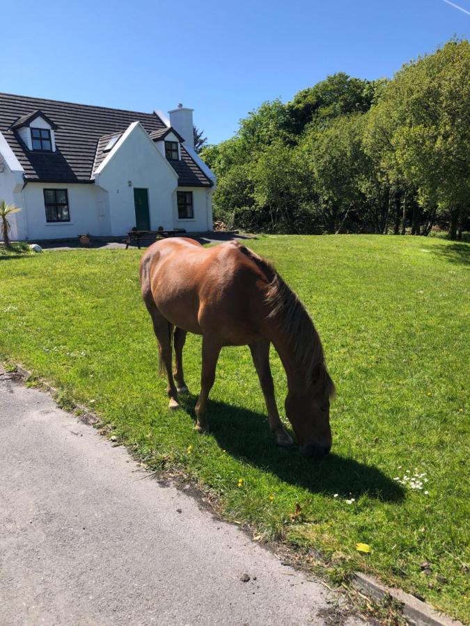 House With Sea Views Close To Beach With Wifi And Large Kitchen And Dining Ardnagreevagh Eksteriør bilde